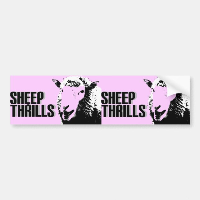 sheep thrills double bumper sticker (Front)