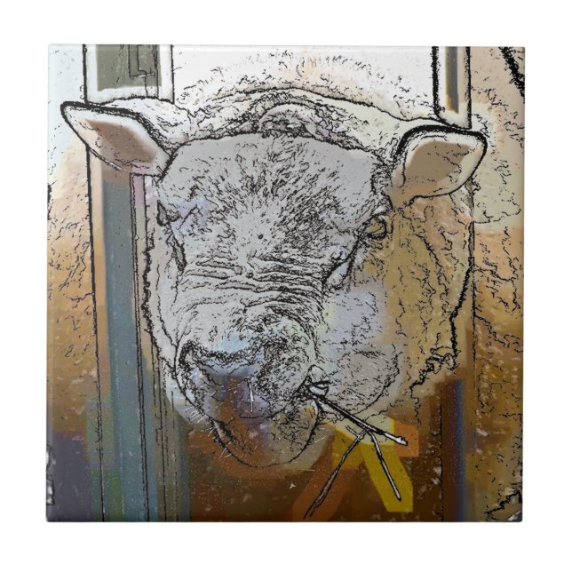 SHEEP TILE (Front)