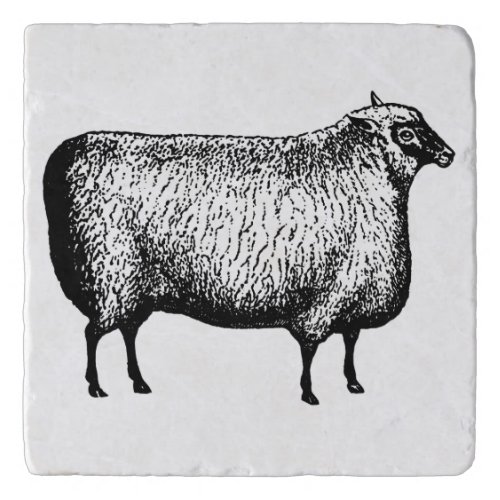 Sheep Trivet