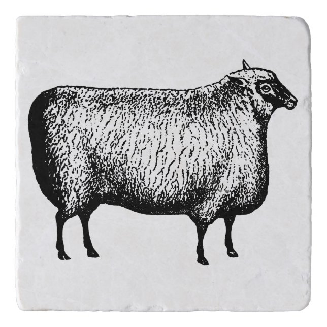Sheep Trivet (Front)