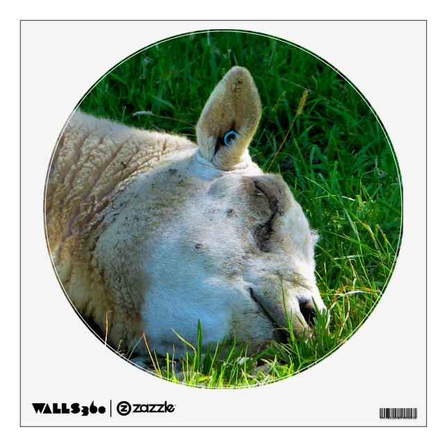 SHEEP WALL STICKER (Front)