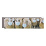 Sheep Wear Masks Bumper Sticker Car Magnet