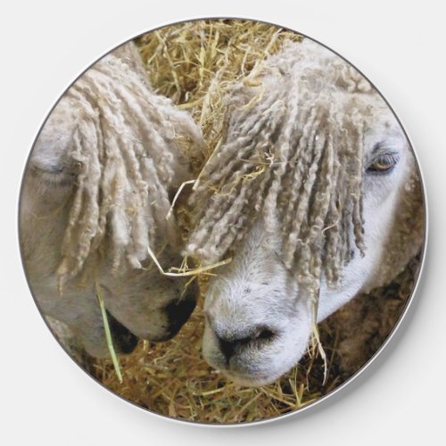 SHEEP   WIRELESS CHARGER 