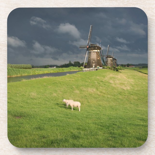 Sheep with windmills under dark clouds beverage coaster (Front)