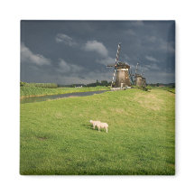 Sheep with windmills under dark clouds