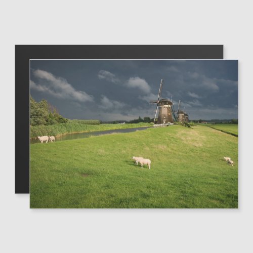 Sheep with windmills under dark clouds magnetic invitation