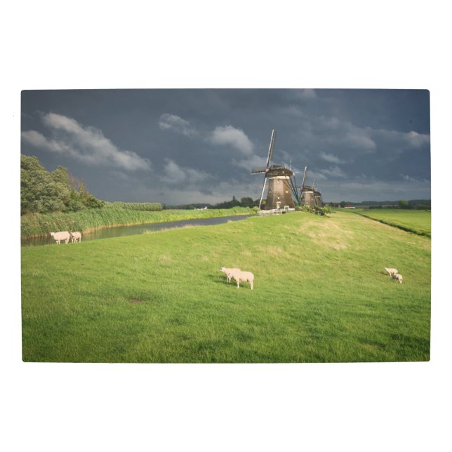 Sheep with windmills under dark clouds metal print (Front)