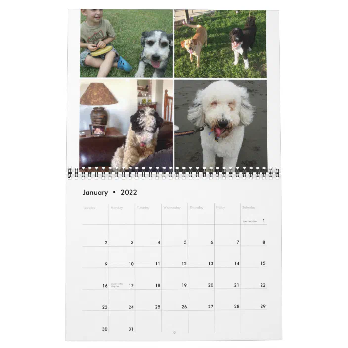 Sheepadoodle Calendar 14 15 Zazzle Com