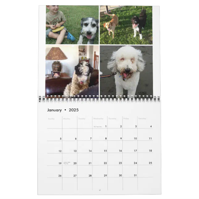 Sheepadoodle Calendar 2014-2015 | Zazzle