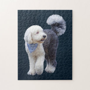 Sheepadoodle With Blue Checkered Scarf Jigsaw Puzzle