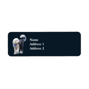 Sheepadoodle With Blue Checkered Scarf Label