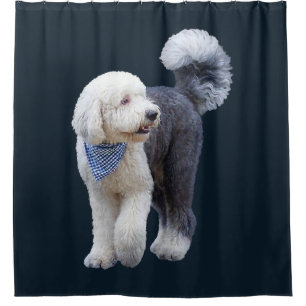 Sheepadoodle With Blue Checkered Scarf Shower Curtain