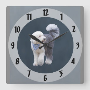 Sheepadoodle With Blue Checkered Scarf Square Wall Clock