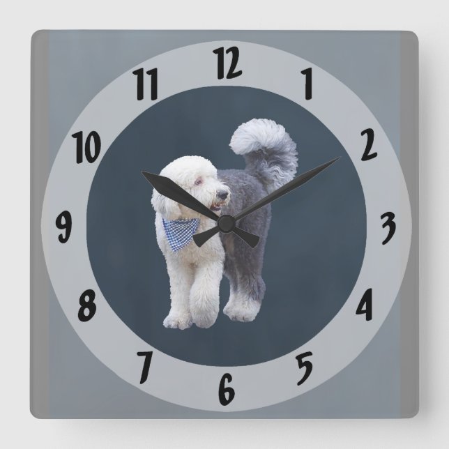 Sheepadoodle With Blue Checkered Scarf Square Wall Clock (Front)