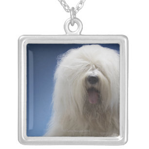 Sheepdog Silver Plated Necklace