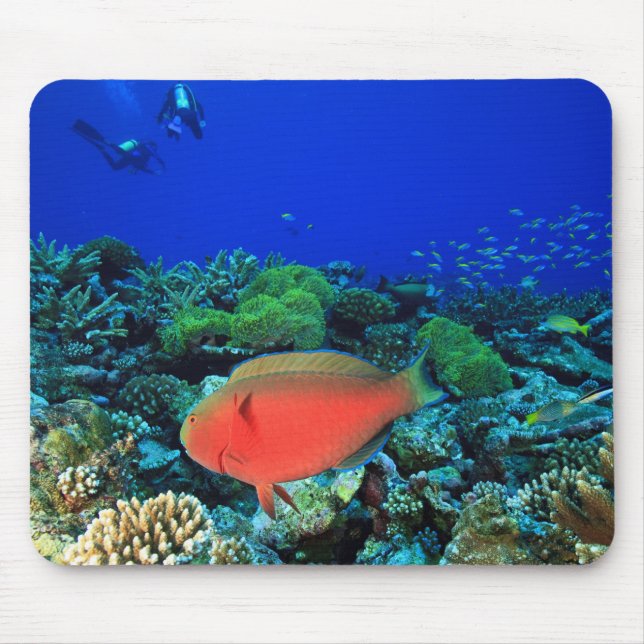 Sheephead Parrotfish Scarus Mouse Pad (Front)