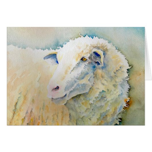Sheepish Cards (Front Horizontal)