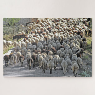 Sheeps bottom animal tricky jigsaw puzzle