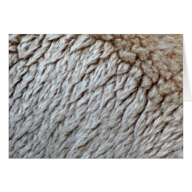 Sheep's Wool Abstract Nature Photo Cards (Front Horizontal)