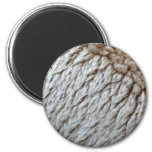 Sheep's Wool Abstract Nature Photo Magnet