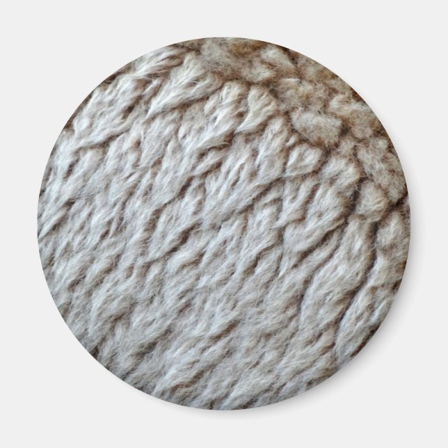 Sheep's Wool Abstract Nature Photo Magnet (Front)