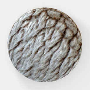 Sheep's Wool Abstract Nature Photo Paperweight