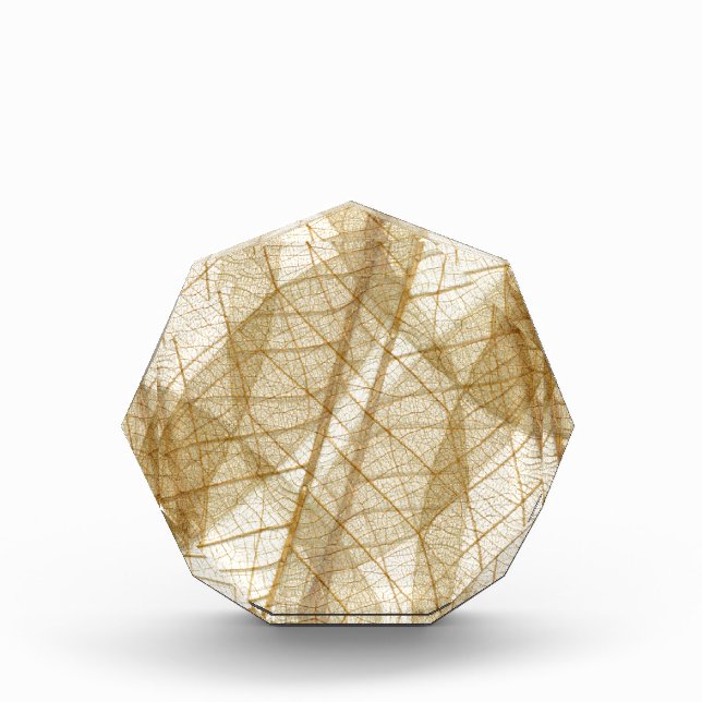 Sheer Cream Beige Lace Leaves Acrylic Award (Front)