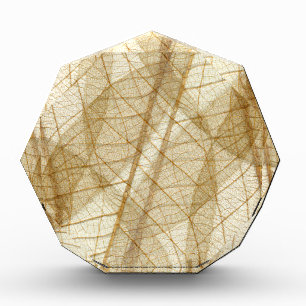 Sheer Cream Beige Lace Leaves Award