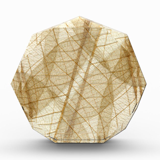 Sheer Cream Beige Lace Leaves Award (Front)