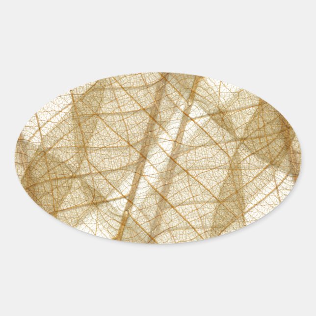 Sheer Cream Beige Lace Leaves Oval Sticker (Front)