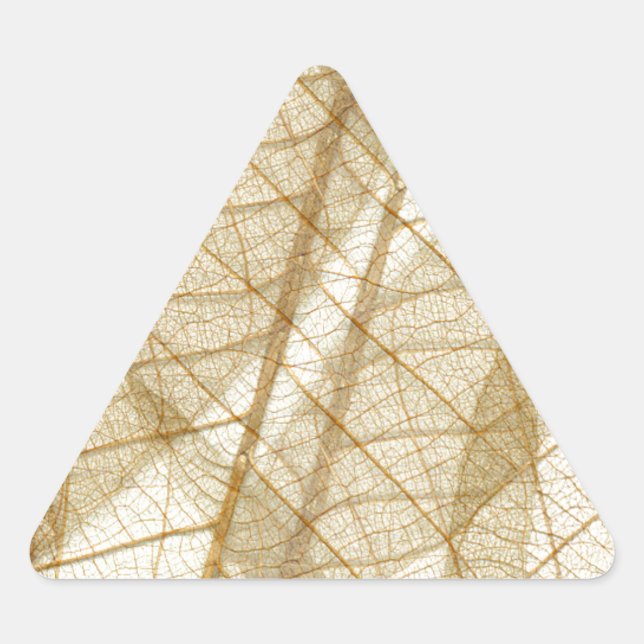 Sheer Cream Beige Lace Leaves Triangle Sticker (Front)