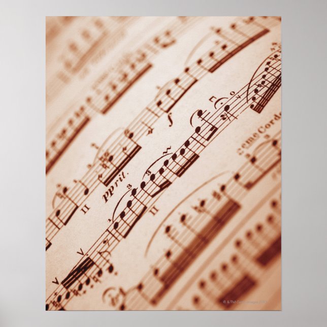 Sheet Music 5 Poster (Front)