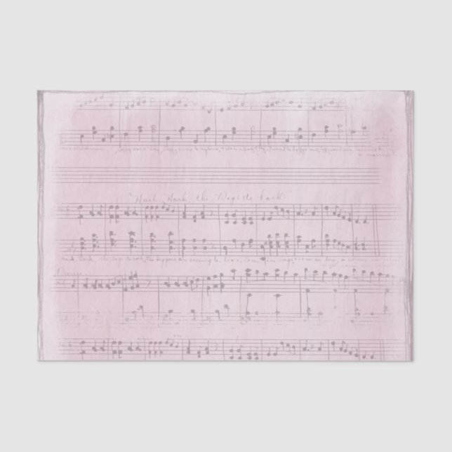 Sheet Music on a Soft Pink Background (Front)