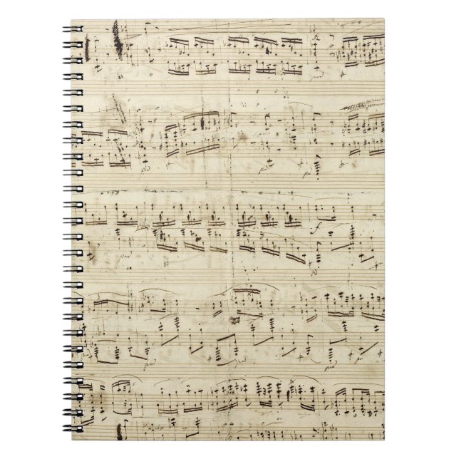 Sheet Music on Parchment Handwritten in Ink Notebook (Front)