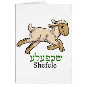 "Shefeleh"-little lamb