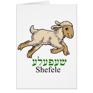 "Shefeleh"-little lamb Cards