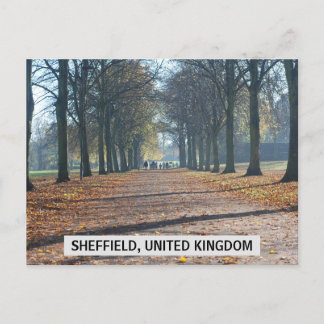 Sheffield, United Kingdom Postcard