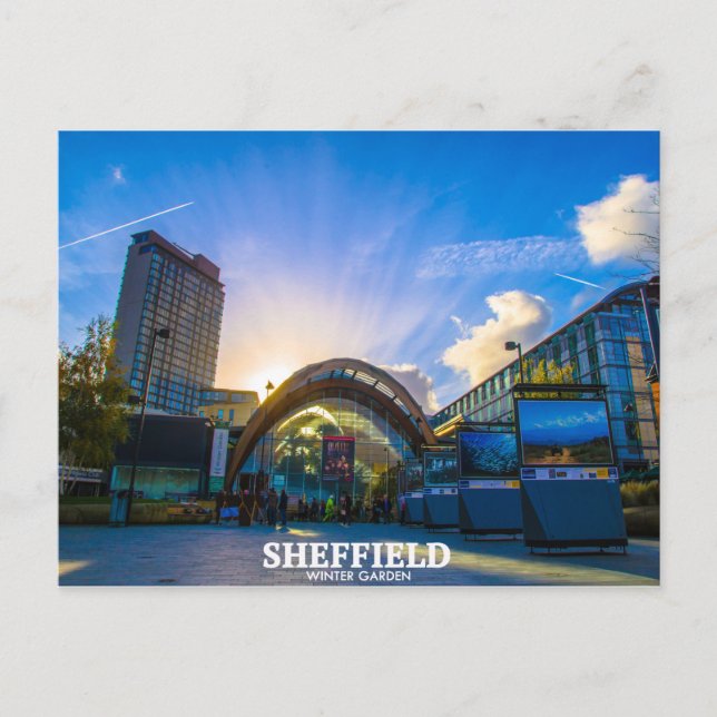 Sheffield Winter Garden Postcard (Front)