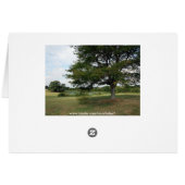 Shelby Farms Cards (Back Horizontal)