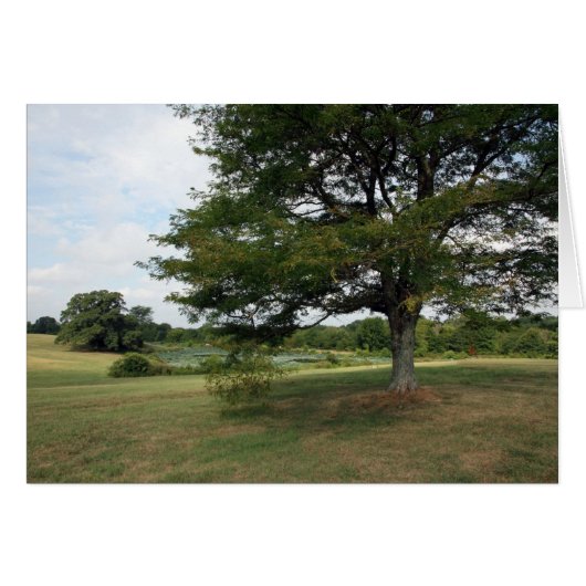 Shelby Farms Cards (Front Horizontal)