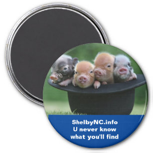 Shelby NC magnet