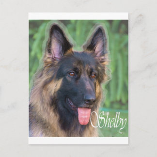 Shelby Postcard
