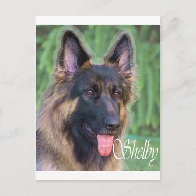 Shelby Postcard (Front)