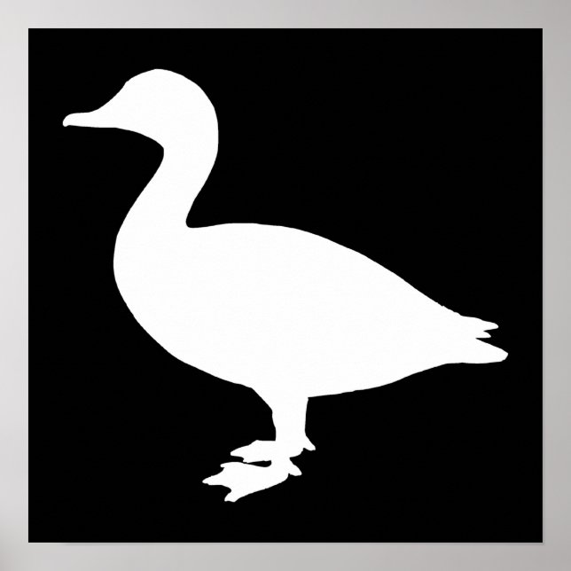 Sheldrake Duck Poster (Front)