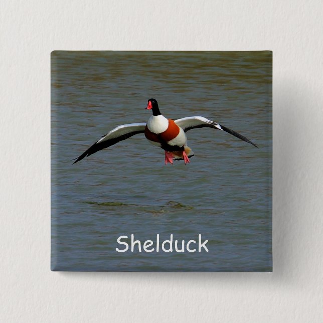 Shelduck Button (Front)