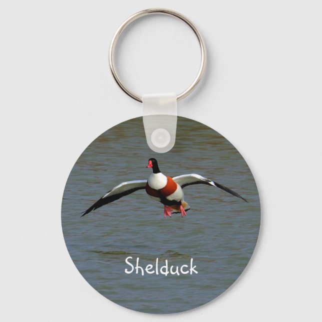 Shelduck Keychain (Front)