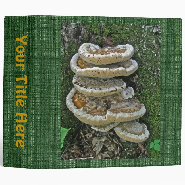 Shelf Fungi on Stump 3 Ring Binder (Front/Spine)