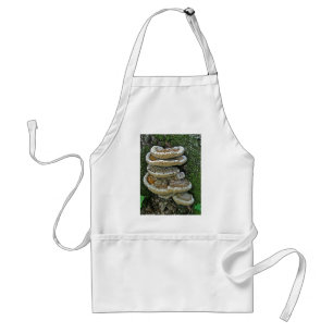 Shelf Fungi on Stump Adult Apron