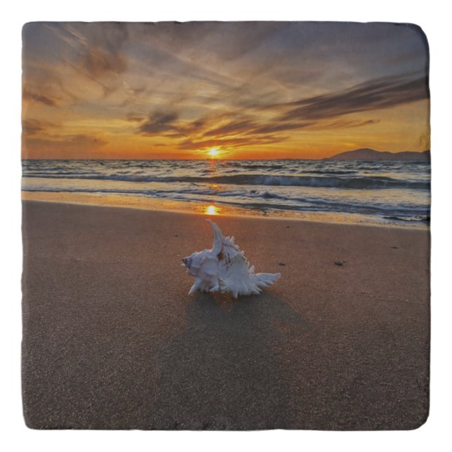 Shell At The Beach At Sunset | Kos Island Trivet (Front)