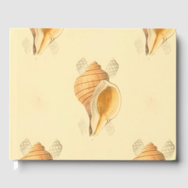 shell beach art design bright sun guest book (Front)